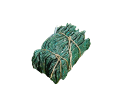 Obrázek z Typhlodromus pyri - balenie 25 pásov